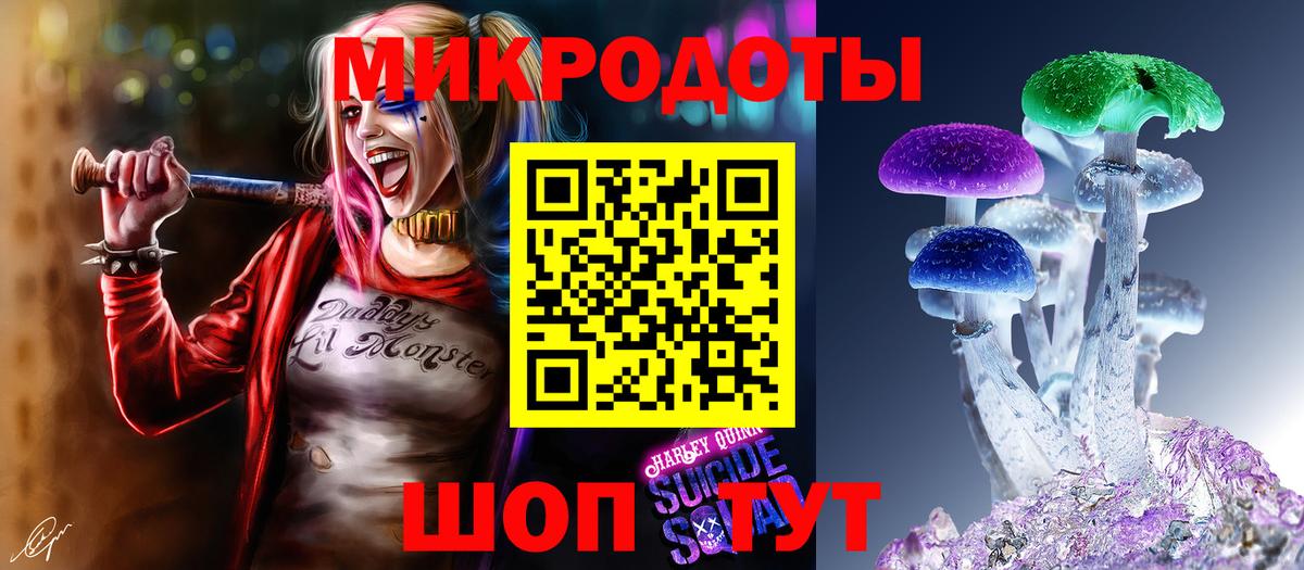 Псилоцибиновые грибы мицелий Ртищево