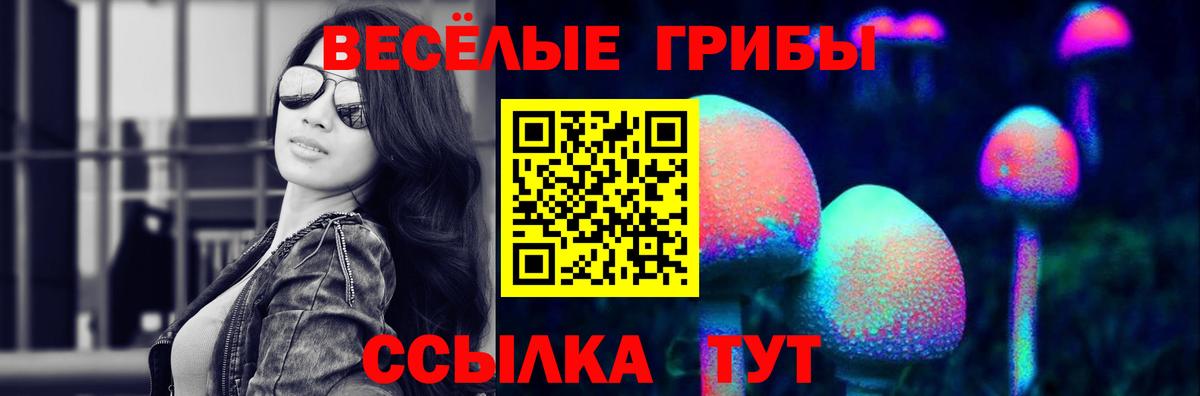 Галлюциногенные грибы прущие грибы  Вход с VPN  Псилоцибиновые грибы Magic Shrooms  Ртищево 